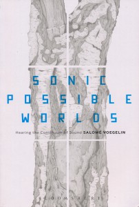 Book cover - "sonic possible worlds"