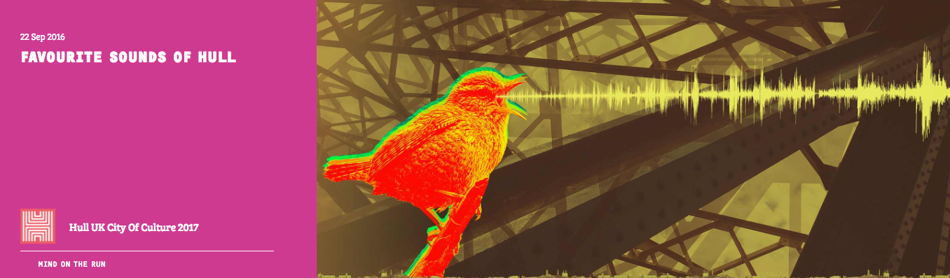 Event image - of a bird and sound wave visualisation from its beak