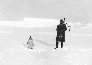 A bagpiper and a penguin