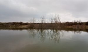 Photo of a lake