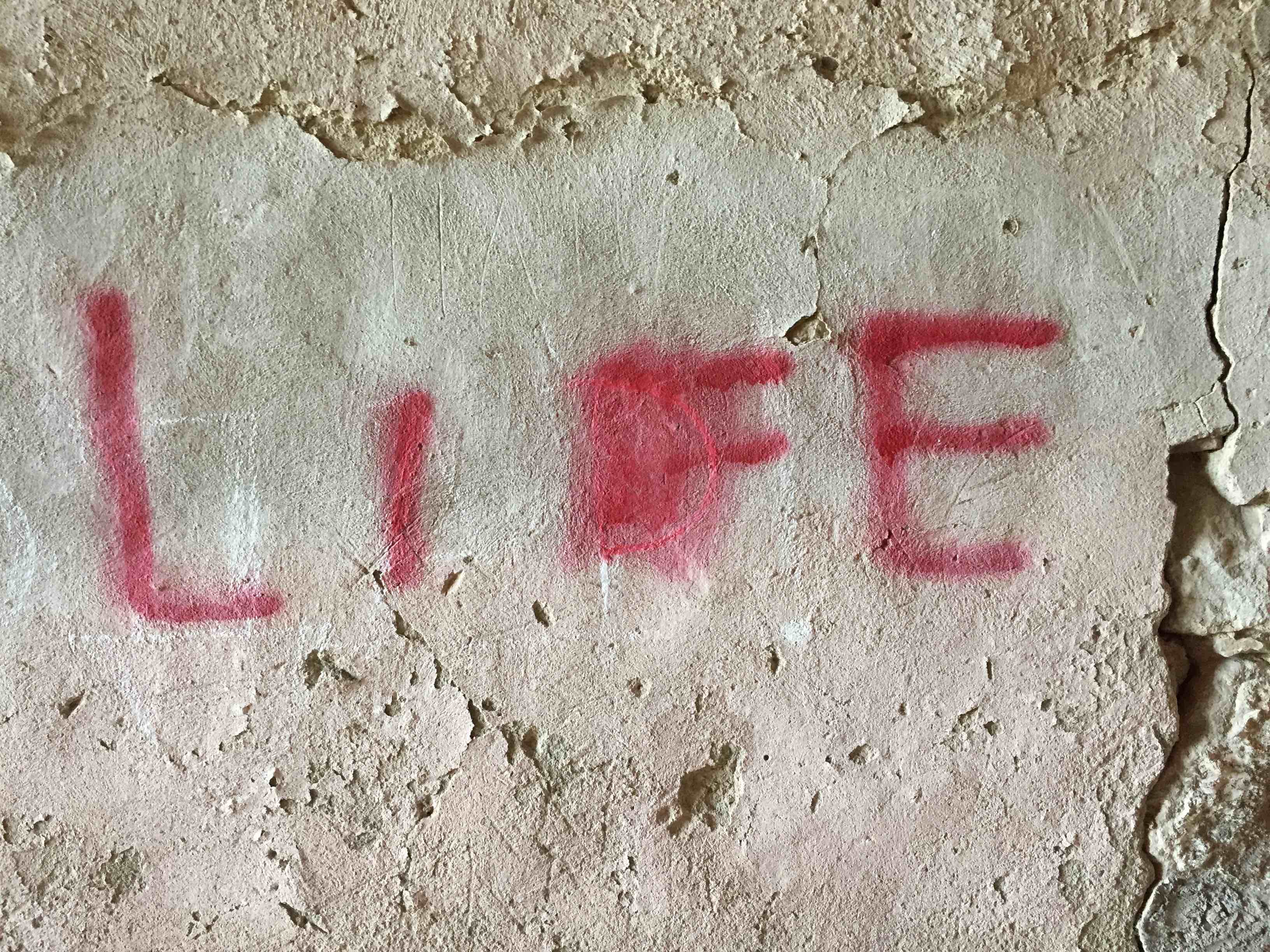 "life" spraypainted onto a concrete wall
