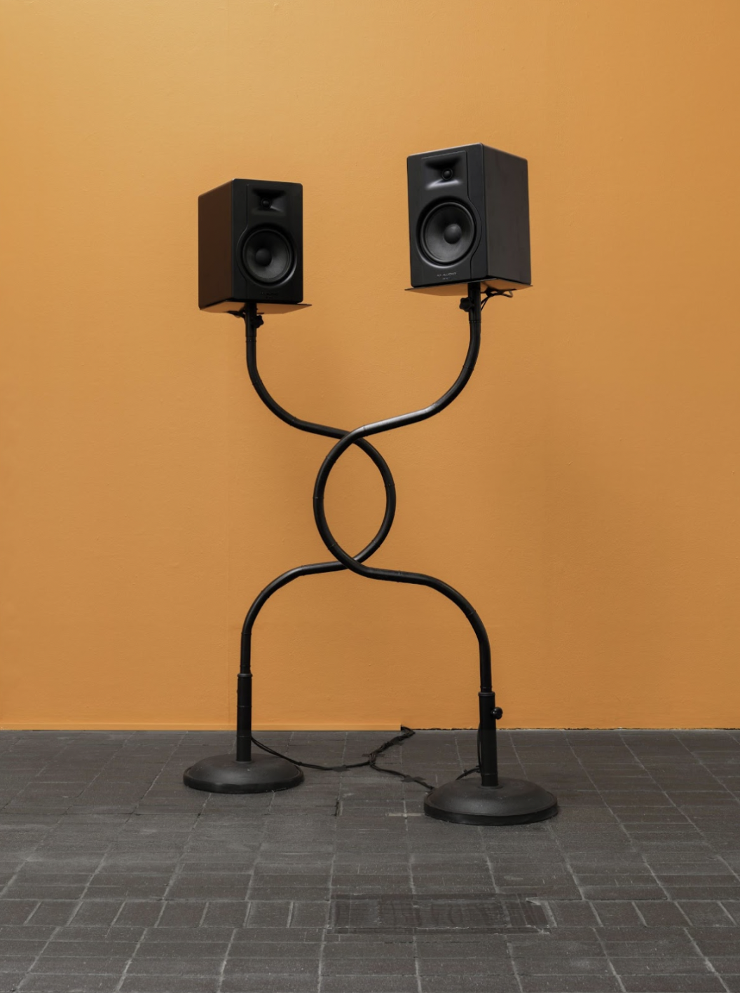 Two speakers with intertwined stands